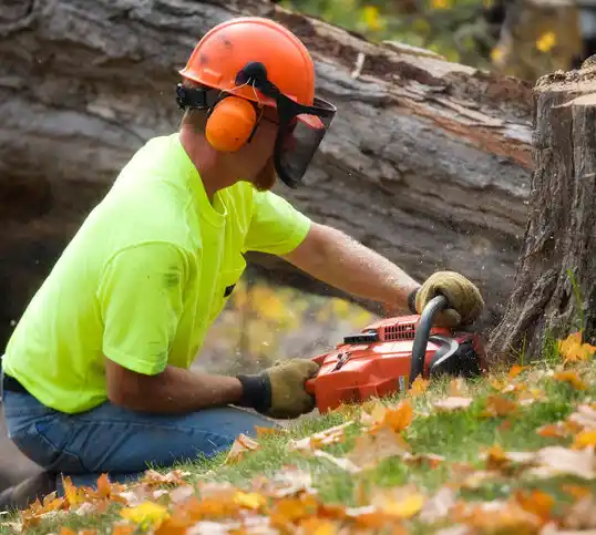 tree services Lecompte